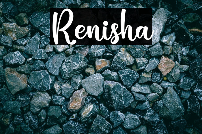 Renisha Example 2