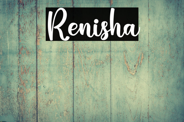 Renisha Example 3