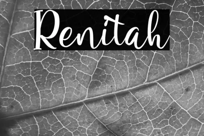 Renitah Font examples