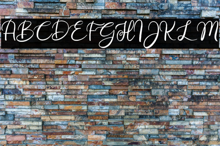 Renitha Demo Example 2