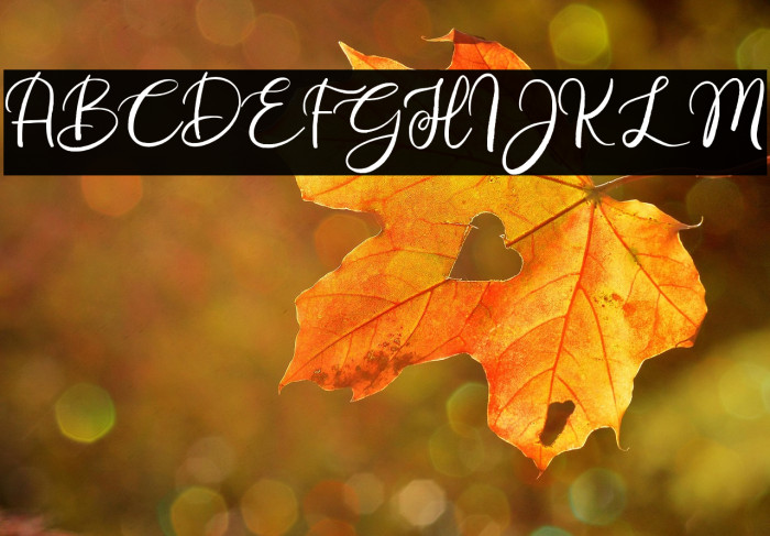 Renitha Demo Example 3