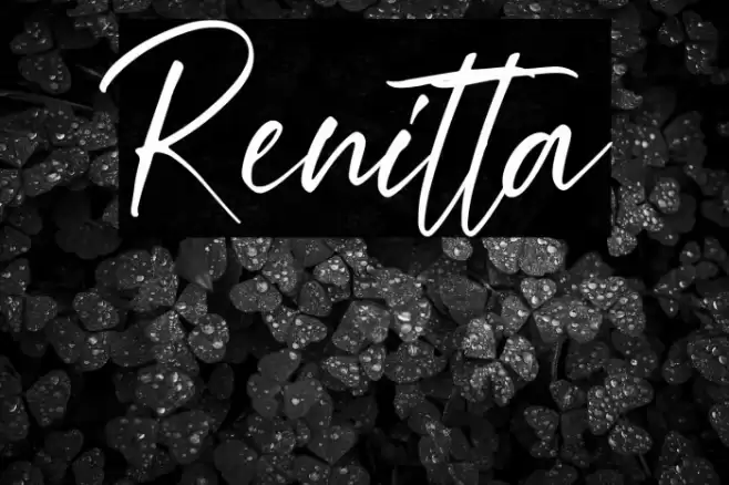 Renitta Font examples