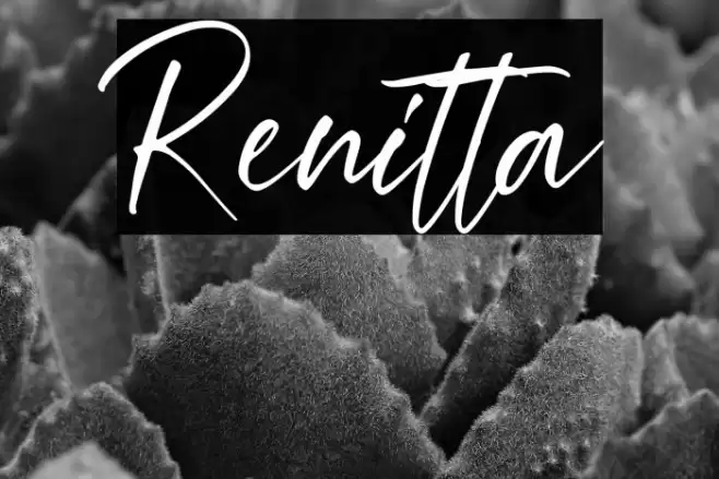 Renitta Font examples