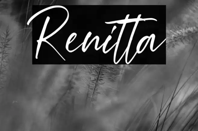 Renitta Font examples
