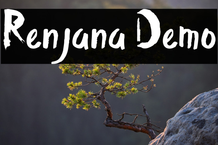 Renjana Demo Example 3