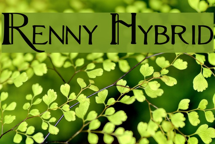 Renny Hybrid Font examples