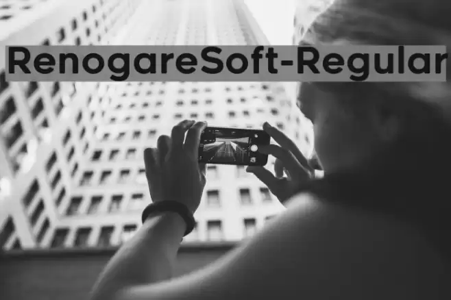 RenogareSoft-Regular Font examples