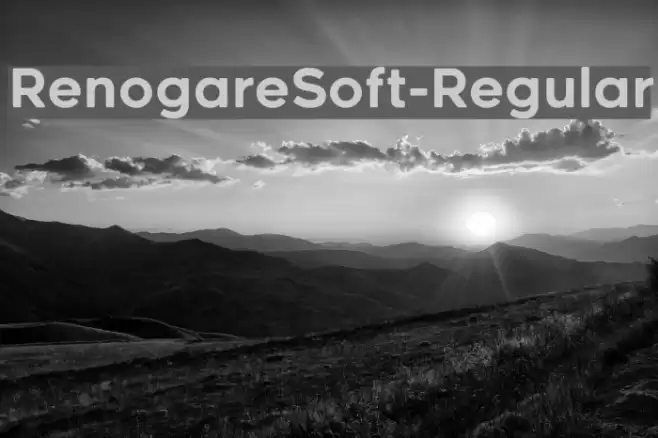 RenogareSoft-Regular Font examples
