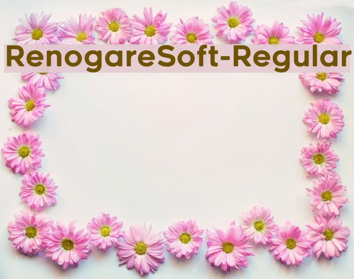 RenogareSoft-Regular Font examples