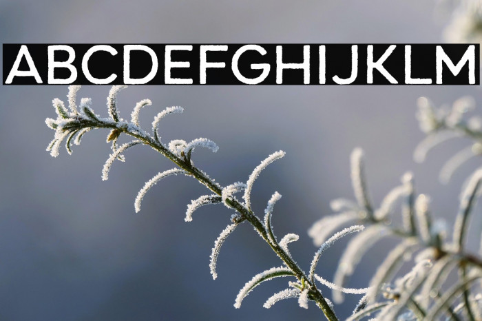 Renos Rough Regular Example 2