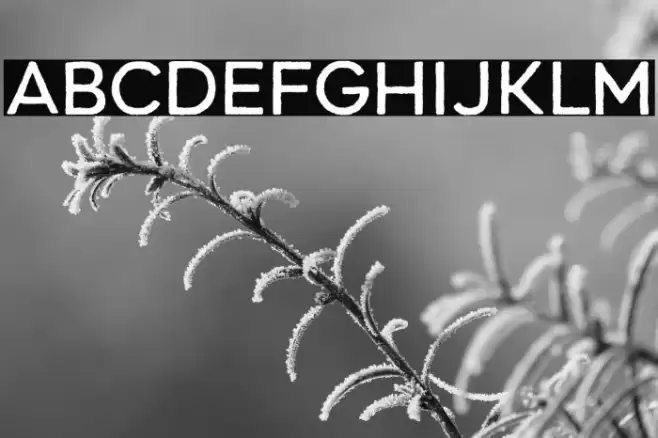 Renos Rough Regular Font examples