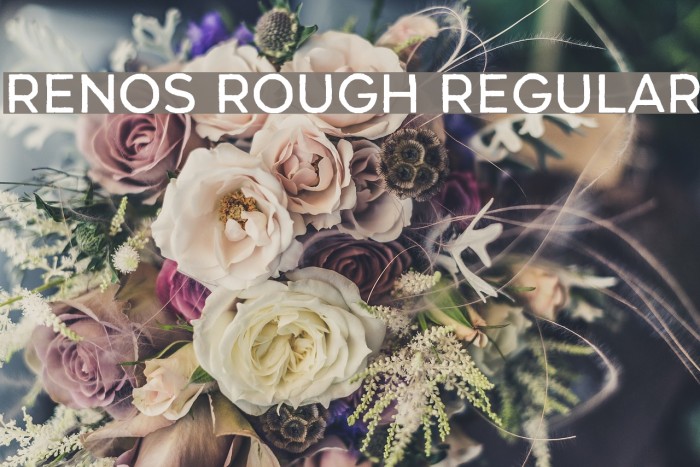 Renos Rough Regular Example 2