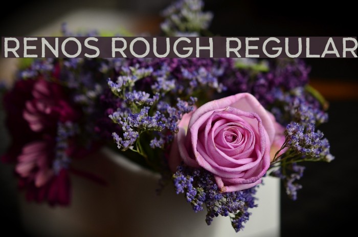 Renos Rough Regular Example 3