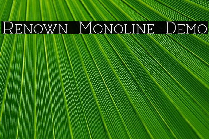 Renown Monoline Demo Example 1