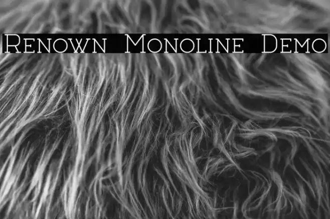 Renown Monoline Demo Font examples