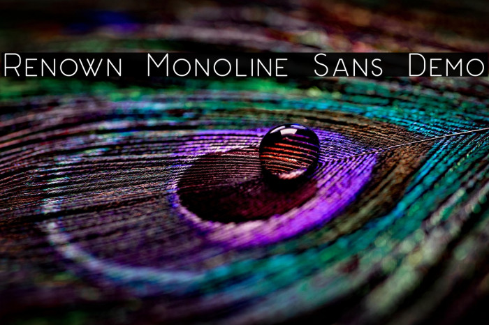 Renown Monoline Sans Demo Example 1
