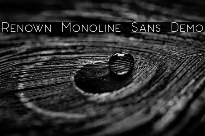 Renown Monoline Sans Demo Polices examples