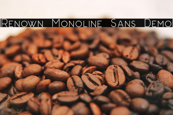 Renown Monoline Sans Demo Example 2