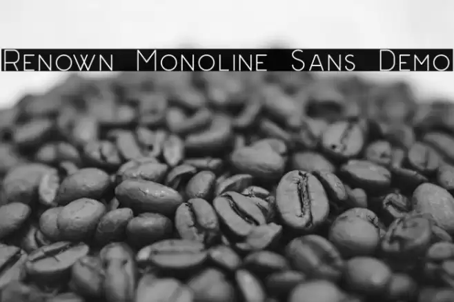 Renown Monoline Sans Demo Polices examples