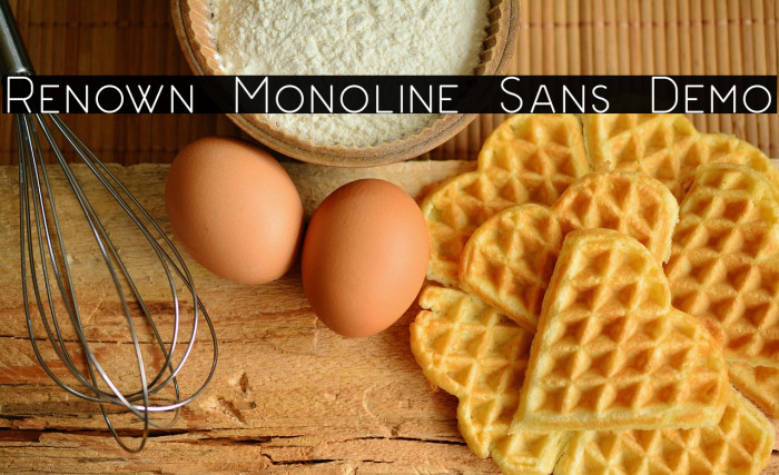 Renown Monoline Sans Demo Example 3