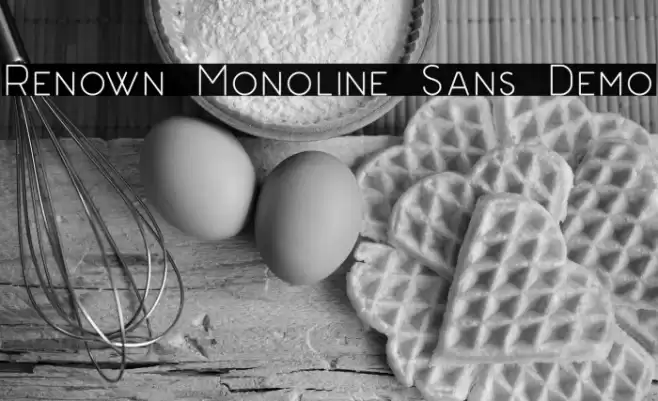 Renown Monoline Sans Demo Polices examples
