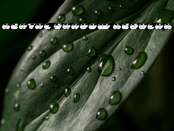 Rental Shadow Regular Example 1