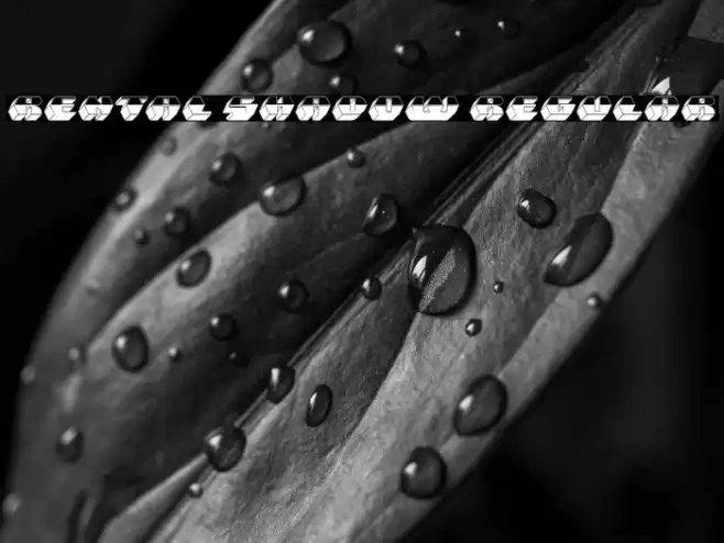 Rental Shadow Regular Font examples