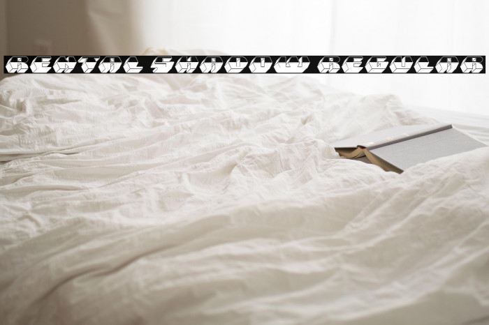 Rental Shadow Regular Example 2