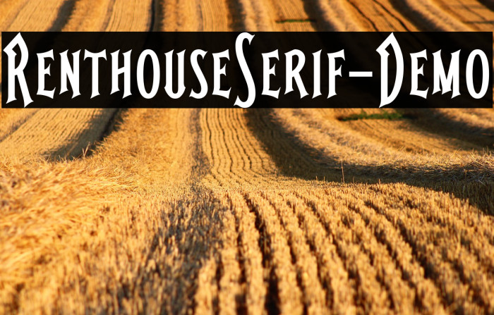 RenthouseSerif-Demo Example 1