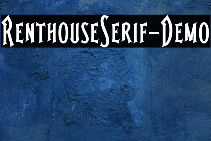 RenthouseSerif-Demo Example 2