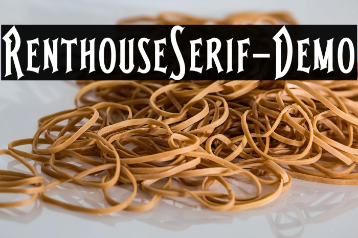 RenthouseSerif-Demo Example 3