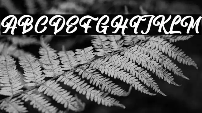 Rentrick Kentack Font examples