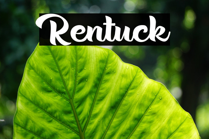 Rentuck Font examples