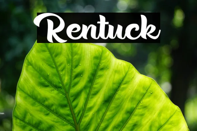 Rentuck Example 1