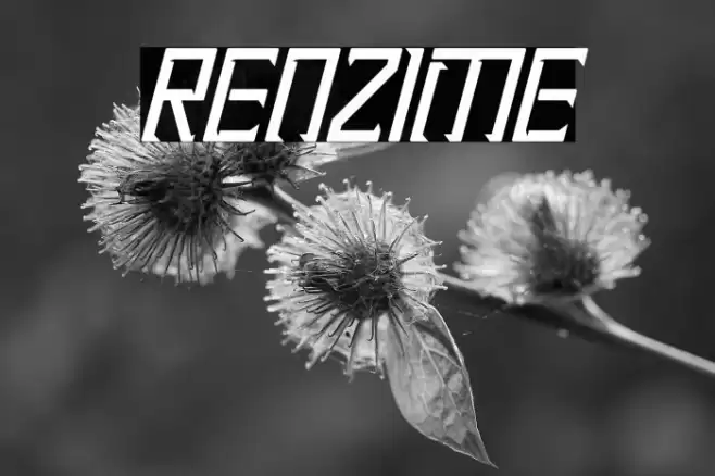 Renzime Font examples