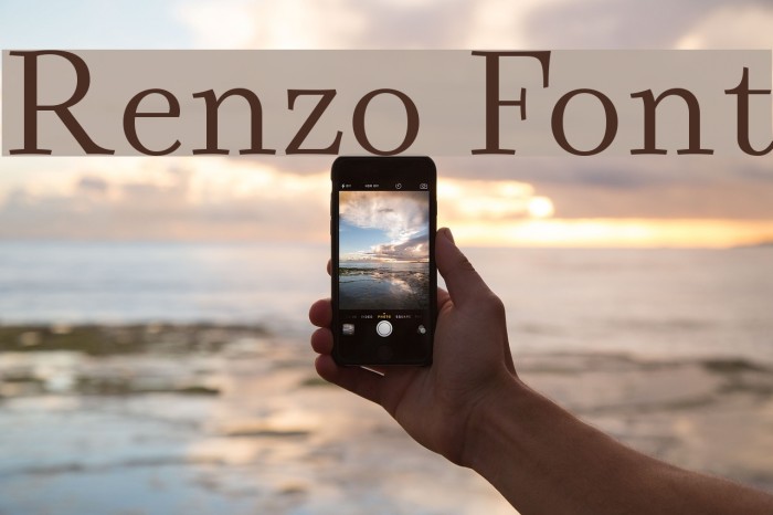 Renzo Font examples