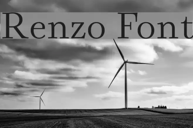 Renzo Font examples