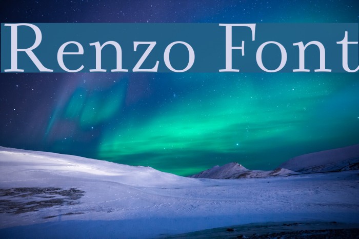 Renzo Font examples