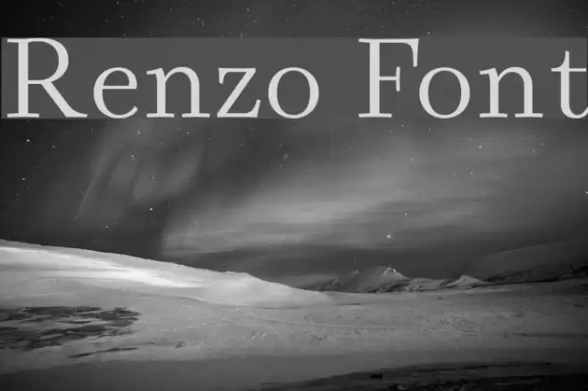 Renzo Font examples