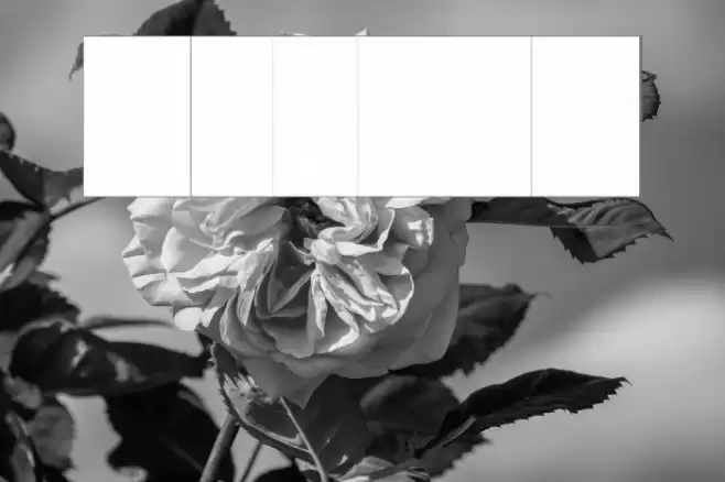 Reo-BG フォント examples