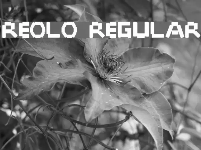 Reolo Regular Font examples