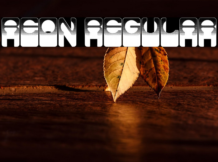 Reon Regular Example 2