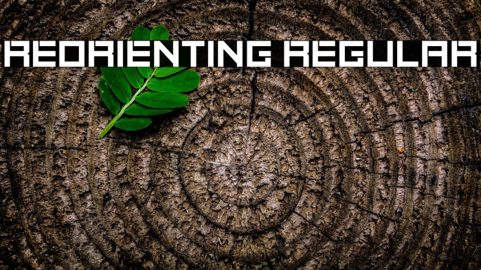 Reorienting Regular Example 2