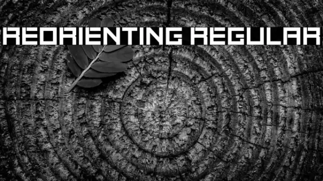 Reorienting Regular Polices examples
