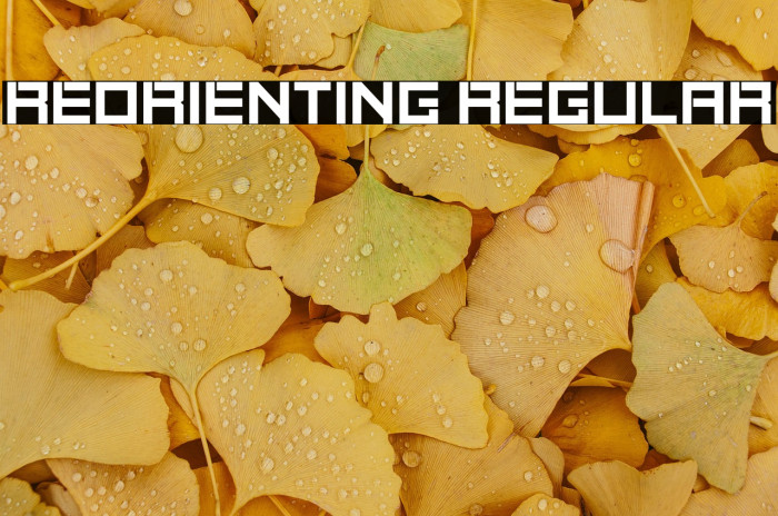 Reorienting Regular Example 3