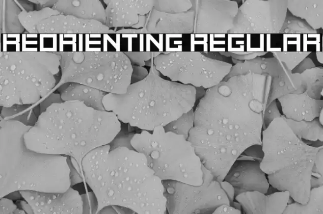 Reorienting Regular Polices examples