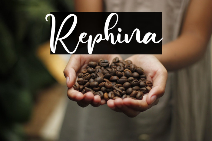Rephina Example 1