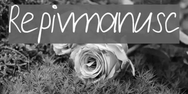 Repivmanusc Font examples