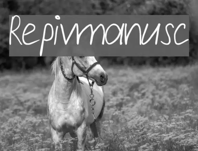 Repivmanusc Font examples