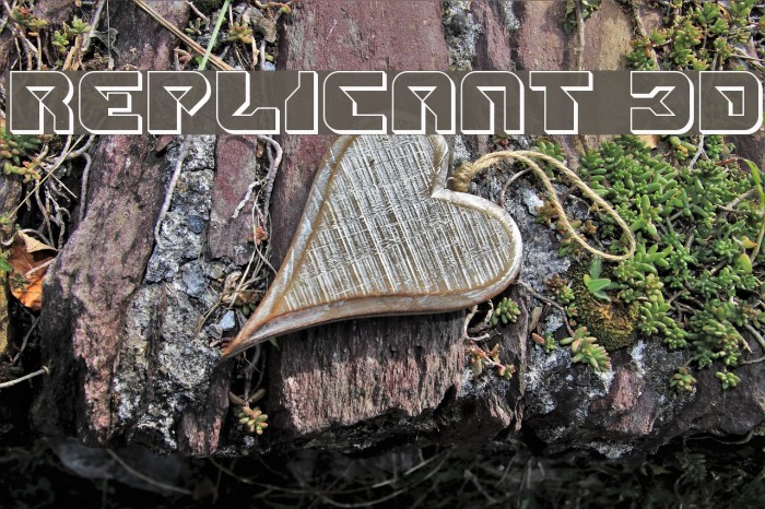 Replicant 3D Example 1